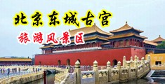 男女操视频爽歪歪中国北京-东城古宫旅游风景区